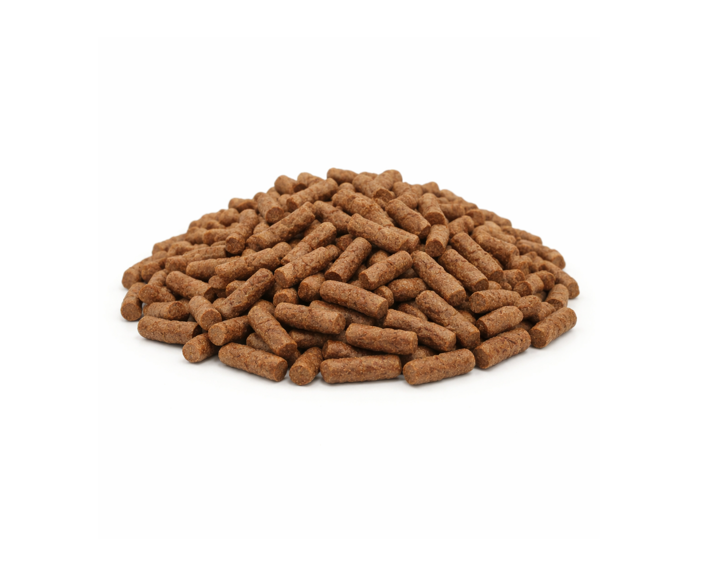 Ajolotes